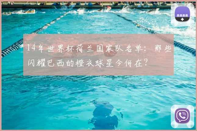 14年世界杯荷兰国家队名单：那些闪耀巴西的橙衣球星今何在？