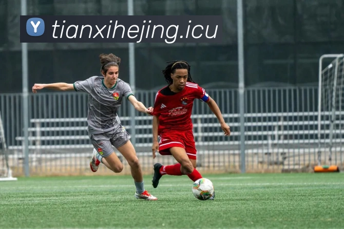 App Interface Preview